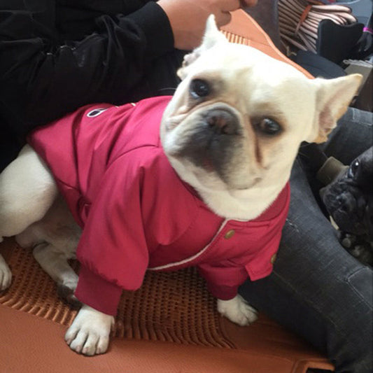 KFX-3413949 Dog Winter Jacket with Padded Warmth and Velvet Lining - Available in Black, Red, Army Green