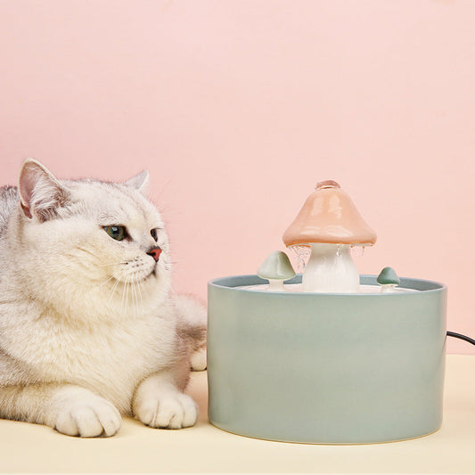 KFX-3414845 Cat Water Dispenser with Detachable Filtration System - Mushroom Style in Multiple Colors and Sizes