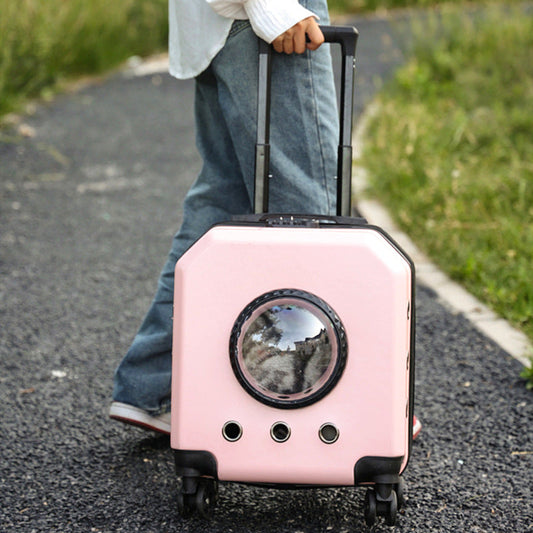KFX-3415101 Pet Flight Carrier Trolley Case - Solid Color (Pink, Burgundy, White, Orange) - Hard PVC - 15 Gold Capacity