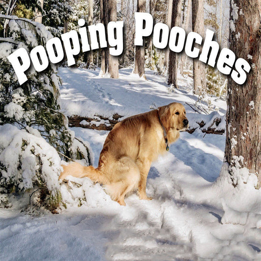 KFX-3427645 Dog Poop Calendar - Idyllic Design, 21x21cm Paper Card