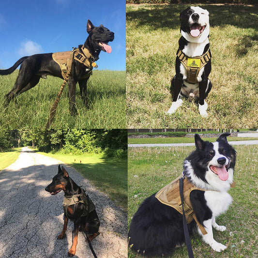 KFX-3441341 Adjustable German Shepherd Tactical Dog Harness with Heavy-Duty Nylon, Pockets, and Metal Clips