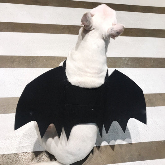 KFX-3443261 Pet Bat Wings Dog Costume Accessory for Small, Medium, and Large Pets