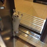 KFX-3464765 Telescopic Safety Gate for Pets and Children - Adjustable 50-120CM, Easy Installation, Sturdy Design