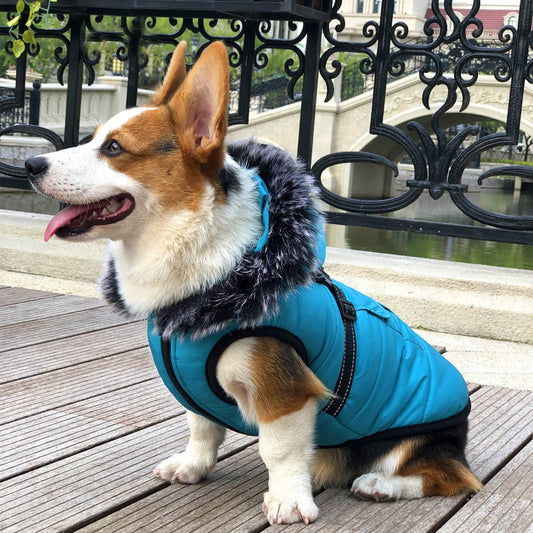 KFX-3505853 Thickened Cotton Vest with Warm Fur Collar for Winter - Available in Multiple Sizes and Colors