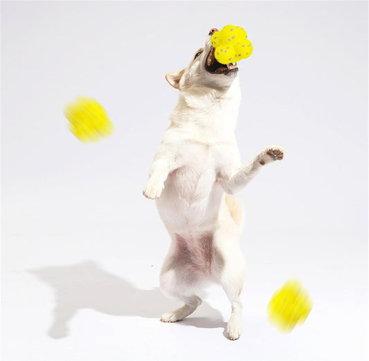 KFX-3525949 Calming Fetch Tennis Ball for Dogs - Soft, Lightweight Toy to Ease Anxiety and Promote Activity