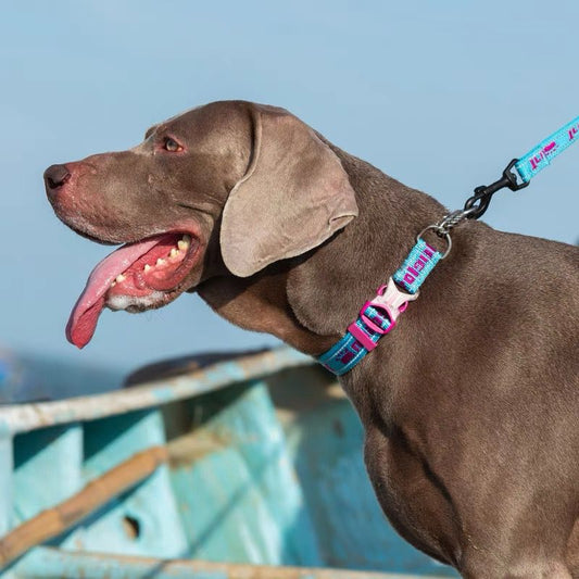 KFX-3530429 Reflective Explosion-Proof Chain Collar for Large, Medium, and Small Dogs - Durable 304 Stainless Steel