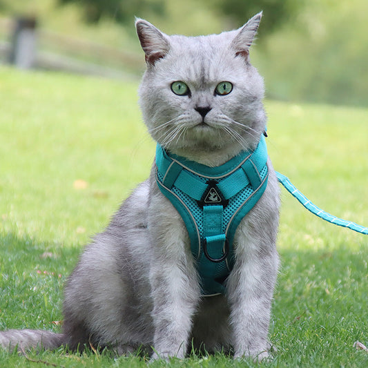 KFX-3539773 Anti-Breakaway Cat Rope with Silver Gradient Chain and Multiple Color Options