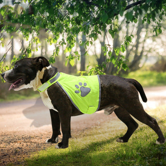KFX-3542333 Fluorescent Green Reflective Pet Vest - Casual Style for All Dogs