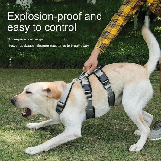 KFX-3543741 Medium and Large Dog Leash for Corgis - Durable Polyester, Multiple Colors Available