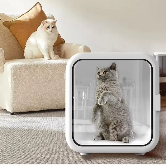 KFX-356051 Eco-Friendly 62L Electric Dog House with APP Control & Automatic Pet Hair Dryer