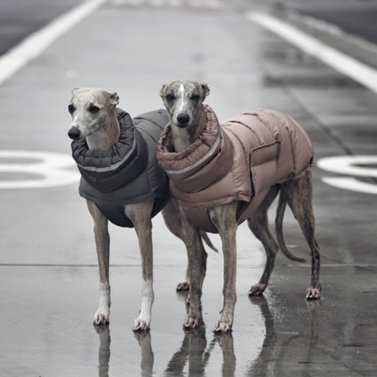 KFX-3571389 Thickened Thermal Vest for Dogs - 100% Recycled Polyester, Available in Dark Gray and Pink