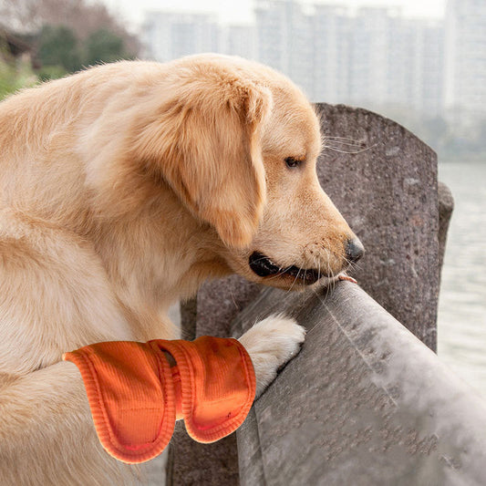 KFX-3579325 Adjustable Pet Knee Brace for Dog Postoperative Recovery - Size S, M, L Available