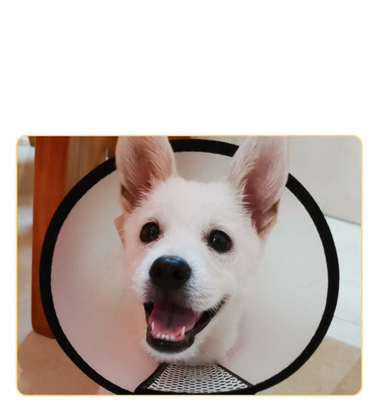 KFX-3595965 Universal Anti-Licking Sterilization Collar for Cats and Dogs – Multi-Size Recovery Pet Neckwear