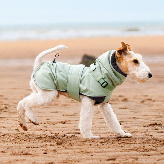 KFX-3598525 Autumn and Winter Wind-Proof Dog Shell Jacket in Bean Green, Beige, and Black Sizes S to 2XL
