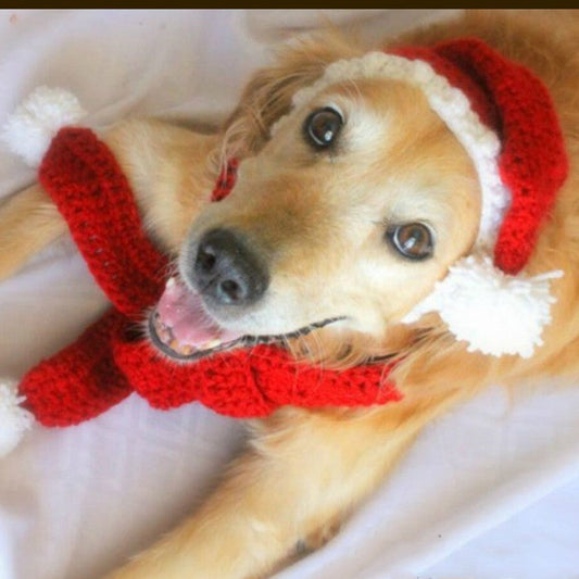 KFX-3598781 Hand-Knitted Wool Hat and Scarf Set for Pets - Solid Color Red, Stylish Design