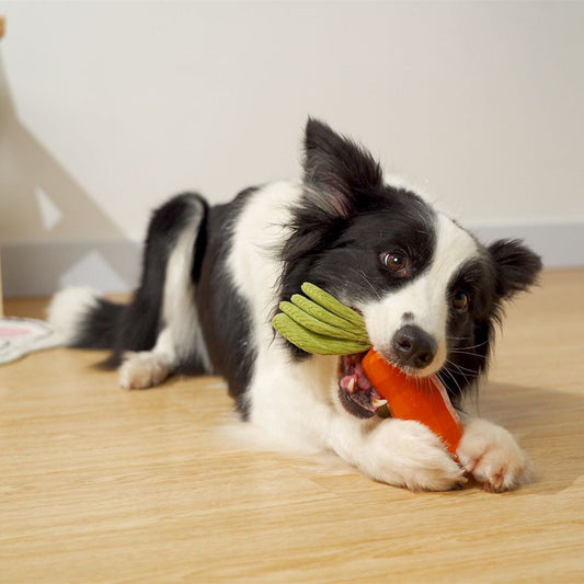 KFX-3621821 Durable Rubber Carrot Toy for Small and Medium Puppies with Sound Feature