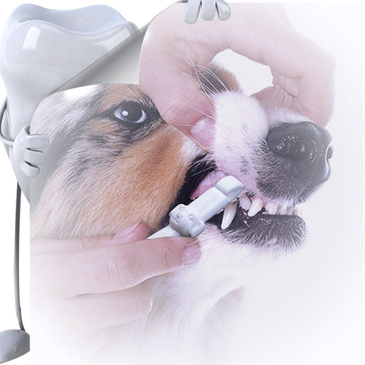 KFX-3634365 Portable Pet Tooth Cleaning Wipes with Replacement Heads and Cotton for Comprehensive Dental Care