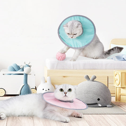 KFX-3649981 Pet Circle Collar for Cats - Light Blue, Pink, Fruit Green - Size M, L, XL, Polyester Material