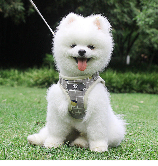 KFX-3653053 Reflective Breathable Mesh Harness and Leash for Small to Medium Pets