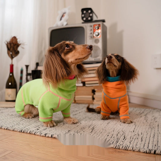 KFX-3658301 Cozy Waffle Pullover for Dachshunds - Four-Legged Pet Clothing for All Seasons