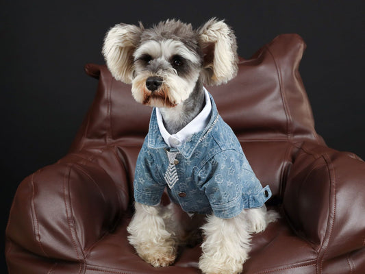 KFX-3661885 Casual Blue Denim Dog Shirt - Cotton Spring/Summer Apparel