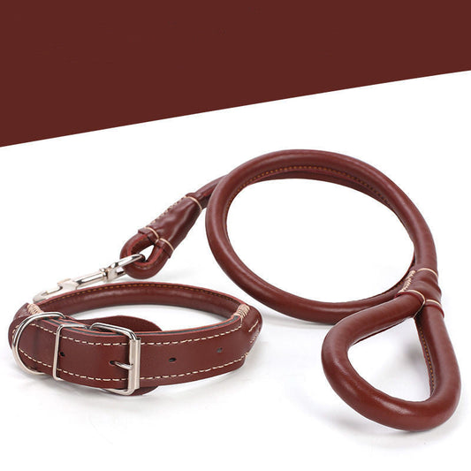 KFX-3673021 Medium to Large Leather Dog Collar with Traction Rope for Golden Retriever and Husky