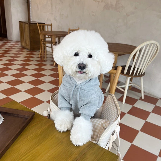 KFX-3676093 Cozy Hooded Sweater for Small Puppies and Cats - Gray & Dark Blue, Sizes XS to XL