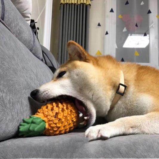 KFX-3681597 Chewable Fruit-Shaped Dog Toy for Teeth Cleaning and Playtime Fun