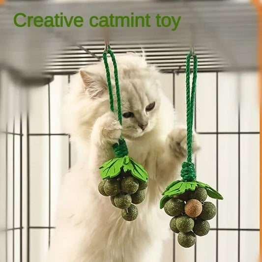 KFX-3706429 Catnip Mint Ball Grape Skewers - Teething & Bite Resistant Fruit Toys for Cats, 2cm Diameter Balls