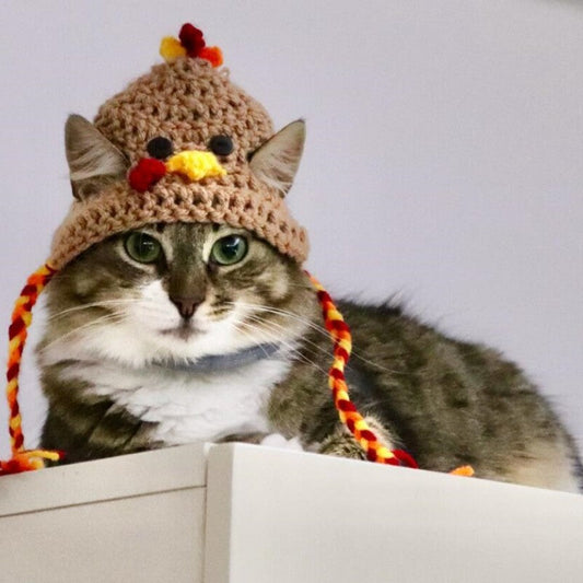 KFX-3717693 Knitted Cartoon Pet Hat for Cats and Dogs – Four Seasonal Styles in Coffee, Black, and Pumpkin Colors
