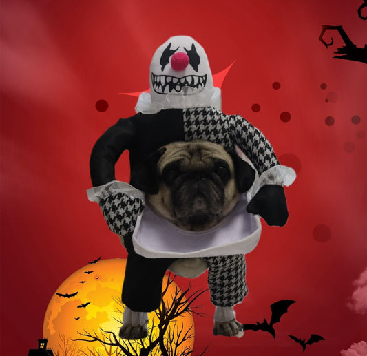 KFX-3738173 Demon Transformation Pet Costume for Halloween - Cloth Material, Available in Sizes S and L