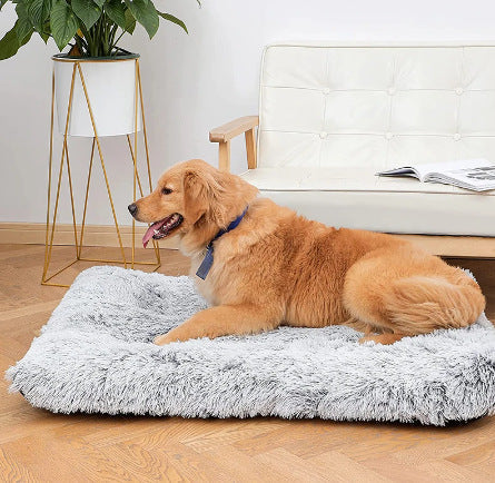 KFX-3759677 Comfortable Wave Memory Foam Dog Sofa Bed in Various Colors and Sizes