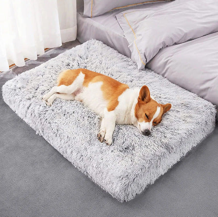 KFX-3759677 Comfortable Wave Memory Foam Dog Sofa Bed in Various Colors and Sizes