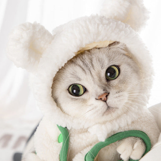 KFX-3762621 Adorable Cat Bear Dress-Up Hat in Multiple Colors and Sizes