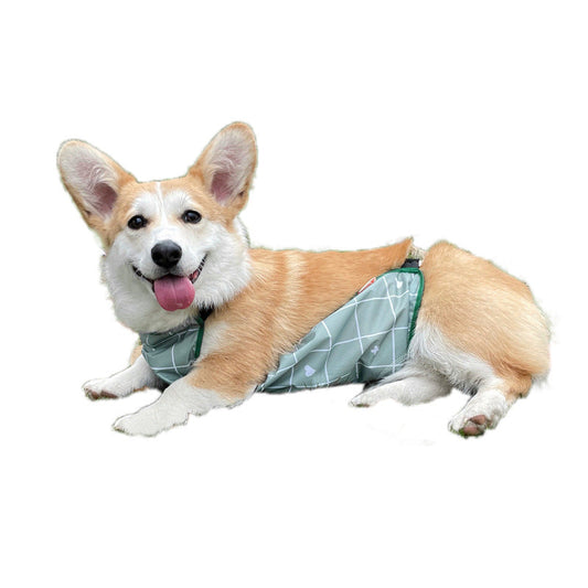 KFX-3769917 Lightweight Waterproof Summer Dog Raincoat with Cool Belly Protector in Green and Brown