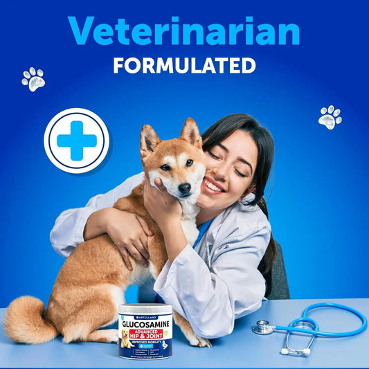 KFX-3796413 Glucosamine Chews for Dogs with Chondroitin and Hemp Oil for Joint Support, 120 Soft Treats