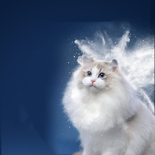 KFX-3798205 Pet Dry Cleaning Powder for Cats and Dogs - Cleansing, Nourishing, and Brightening Formula with Natural Ingredients