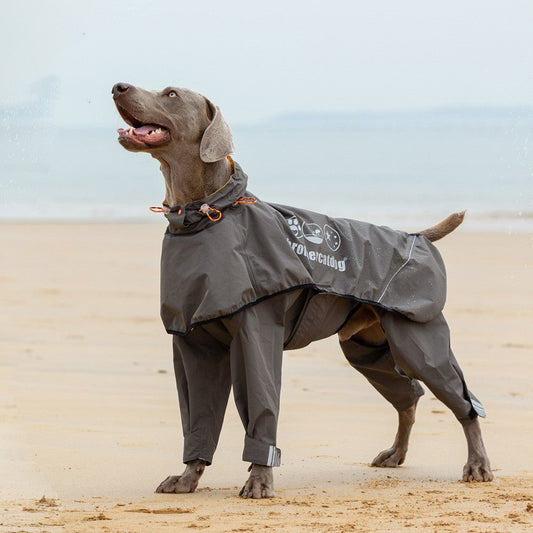 KFX-3803709 Waterproof Four-Legged Raincoat for Medium to Large Dogs in Dark Khaki and Dark Blue