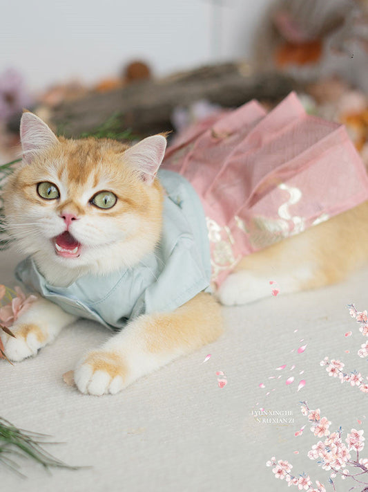 KFX-3848765 Light Green, Pink, and White Pet Skirts for Cats and Dogs – Sizes XS to XL