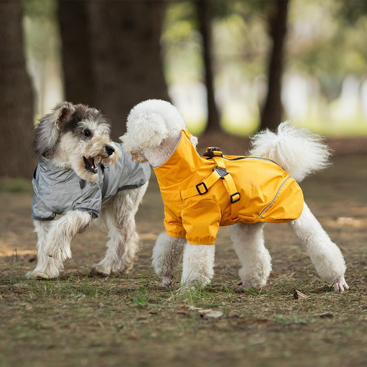 KFX-3915581 Waterproof Pet Raincoat for Medium and Small Dogs – Chest and Back Design in Camouflage, Star Gray, or Clear Yellow