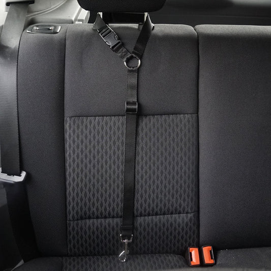 KFX-3936957 Adjustable Nylon Pet Safety Leash for Secure Traction and Control