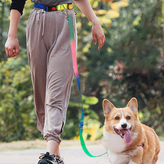 KFX-3954237 Hands-Free Pet Shoulder Traction Lead - Adjustable Nylon Harness, Black, 2.5cm Width, 180cm Length, Fits Waist 75-115cm