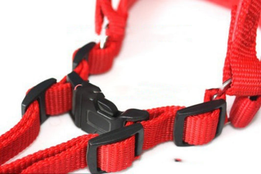 KFX-3969725 Soft Lining Polypropylene Foam Pet Harness with Traction Belt in Blue, Black, and Red