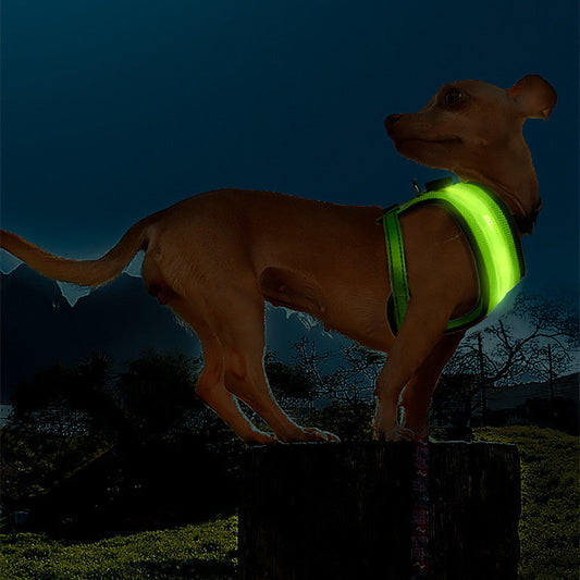 KFX-3974077 LED Dog Vest Harness with USB Charging in Multiple Colors