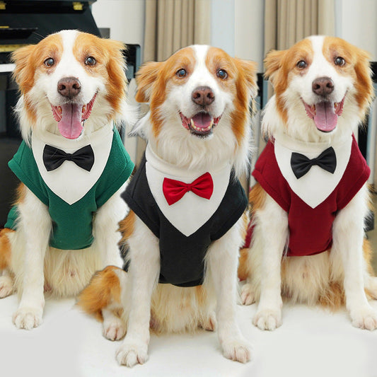 KFX-3985981 Cozy Autumn and Winter Pet Suits in Various Sizes and Colors