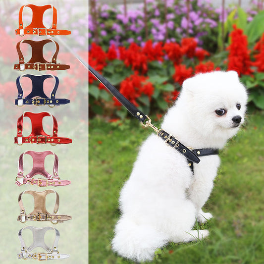 KFX-4046269 Leather Chest Strap and Leash for Dogs and Cats - Scalable Design in Multiple Colors