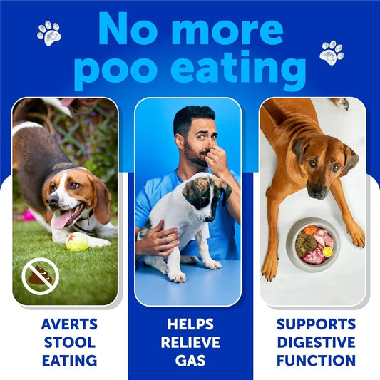 KFX-4058557 Dog Stool Eating Deterrent Chews with Probiotics and Enzymes for Healthy Gut Support