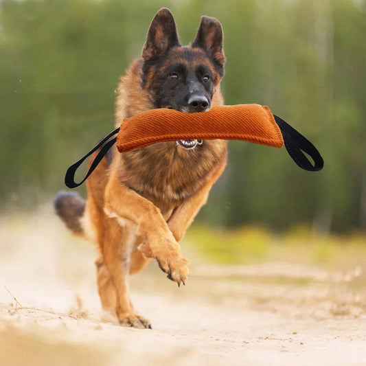 KFX-4059325 Durable Dog Biting Stick for Training - Thickened Bite-Resistant Cloth, Multiple Colors