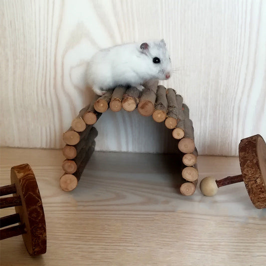 KFX-4063293 Hamster Escape Tunnel Made of Dried Apple Wood - Customizable Sizes Available