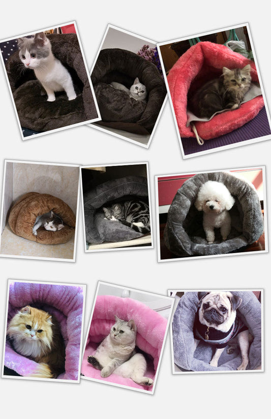 KFX-4079805 Cozy Plush Triceratops Pet Bed for Small Dogs and Cats, Removable Cushion, Soft and Warm